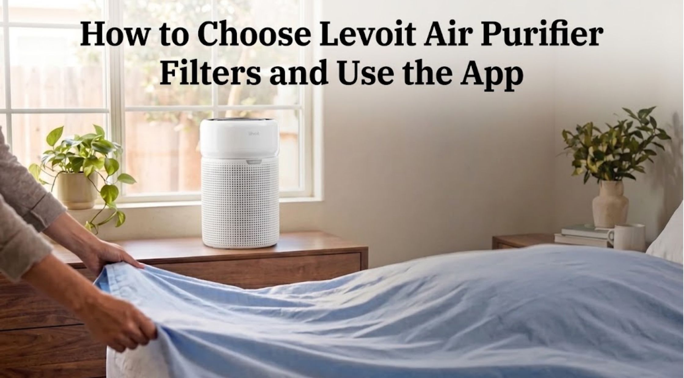 How to Choose Levoit Air Purifier Filters and Use the App